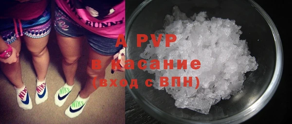 PSILOCYBIN Богородск