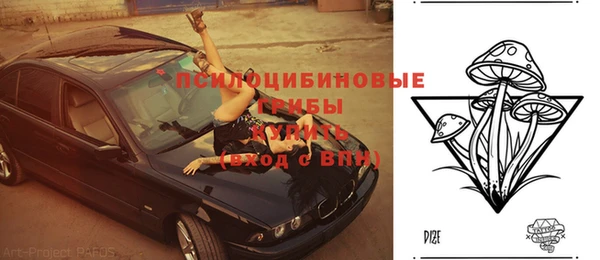 PSILOCYBIN Богородск