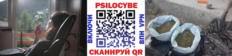 где продают Кизилюрт Галлюциногенные грибы Cubensis